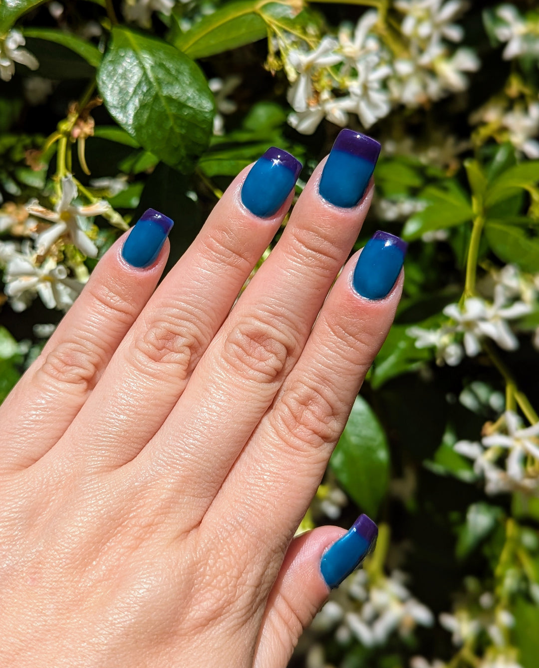 Midnight Sapphire (Temp) (Gel)