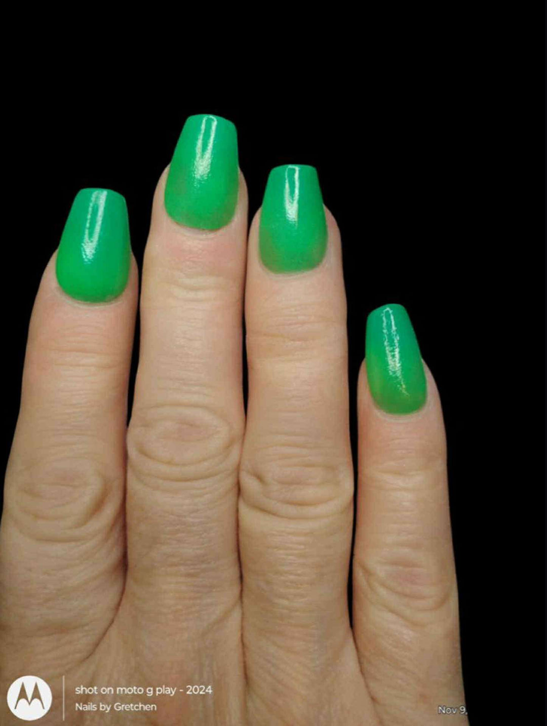 Rein-Dear Diary (Temp)