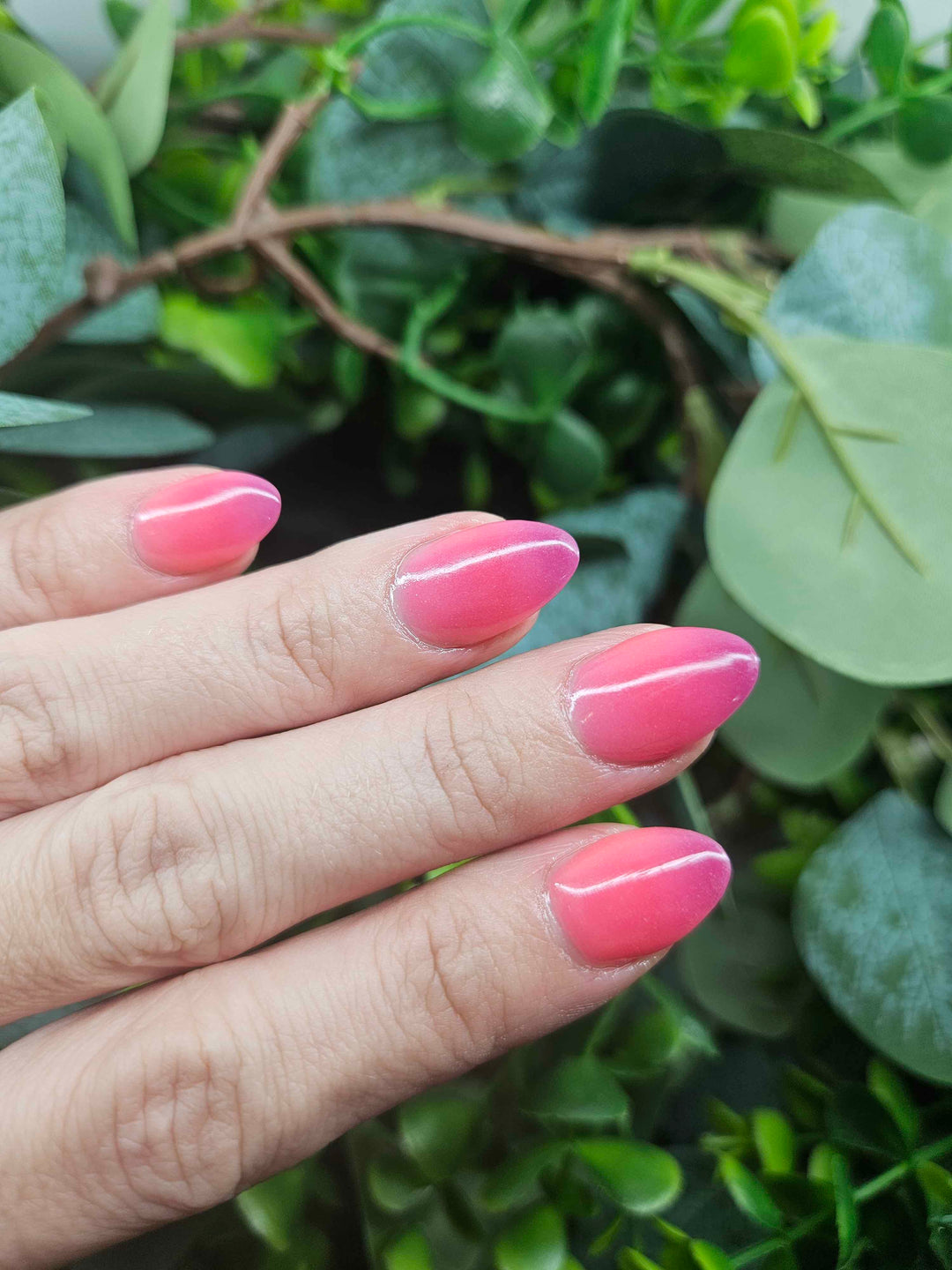 Day 5 - Dual Drama (Sun)