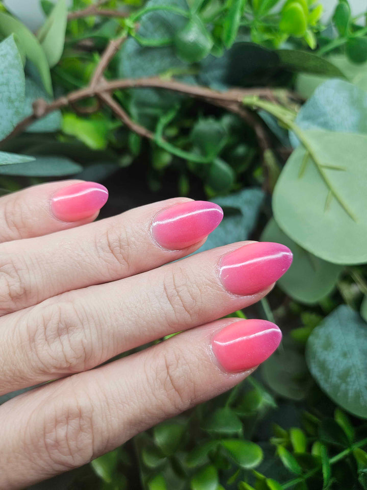 Day 5 - Dual Drama (Sun)