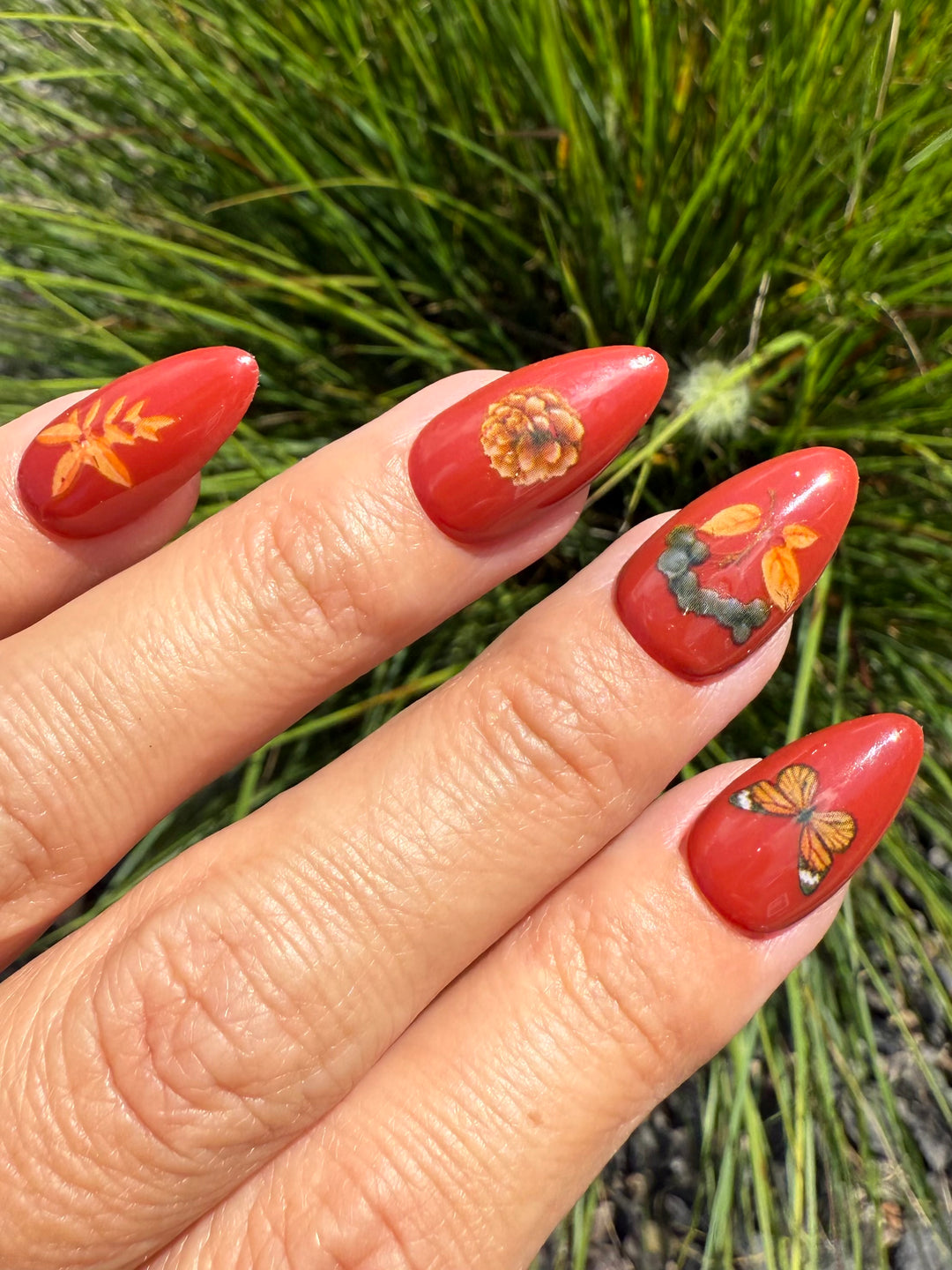 Transfer Foils Phase 3