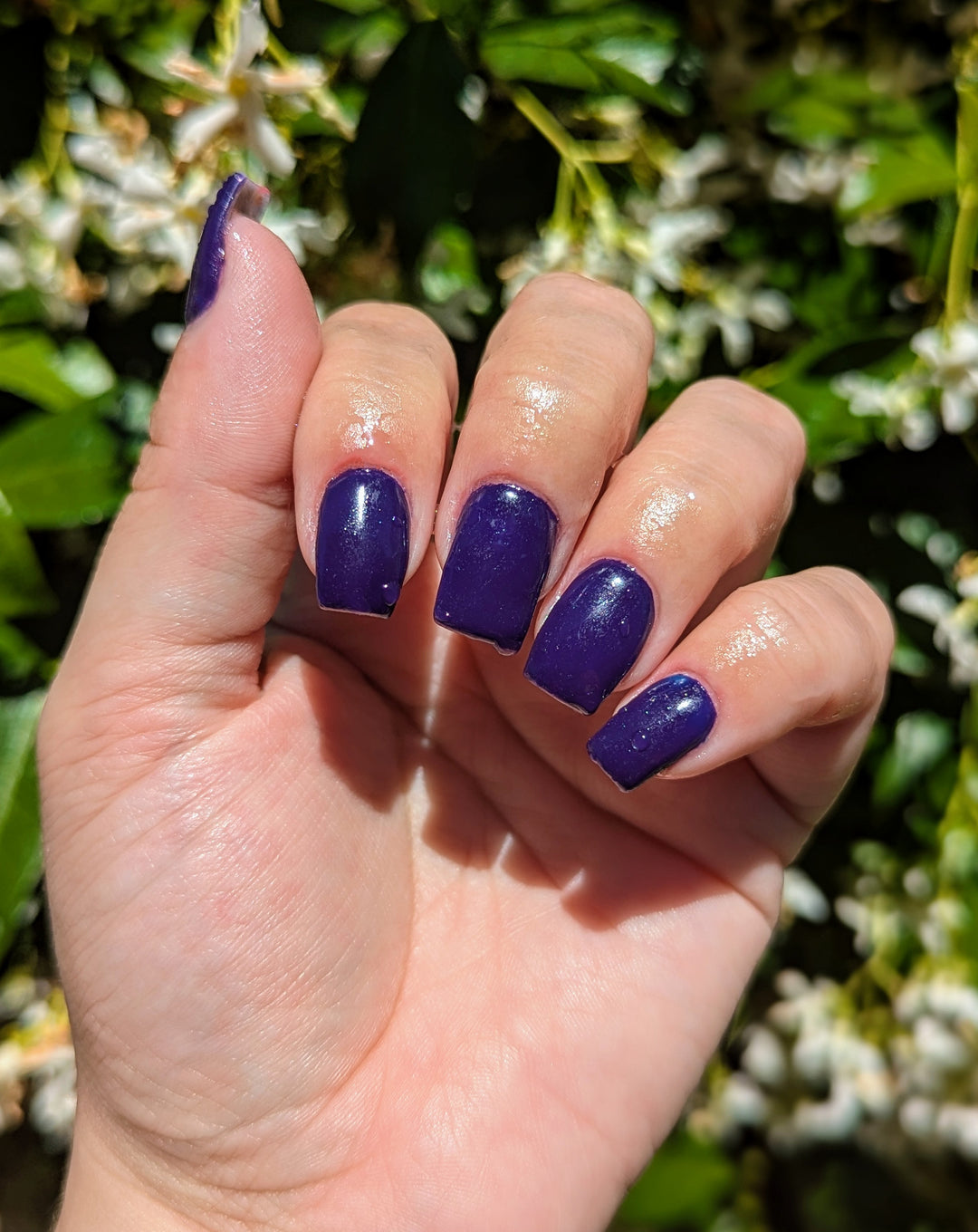 Midnight Sapphire (Temp) (Gel)