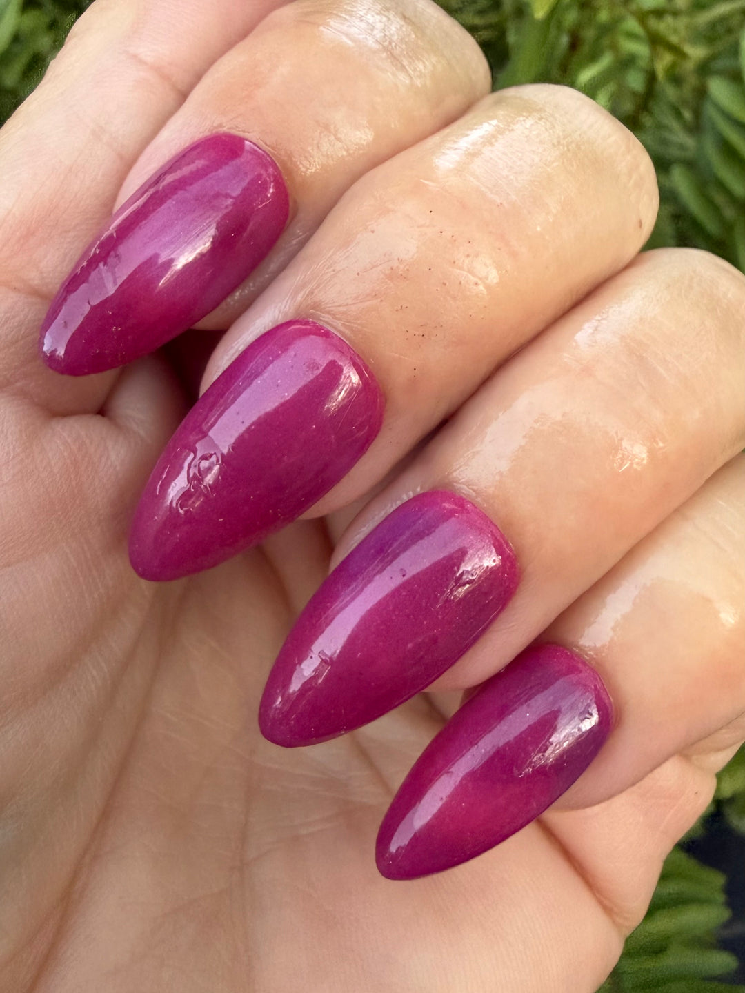 Reindeer Wishes (Temp)