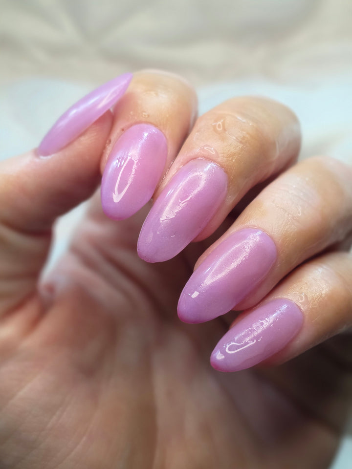 Reindeer Wishes (Temp)