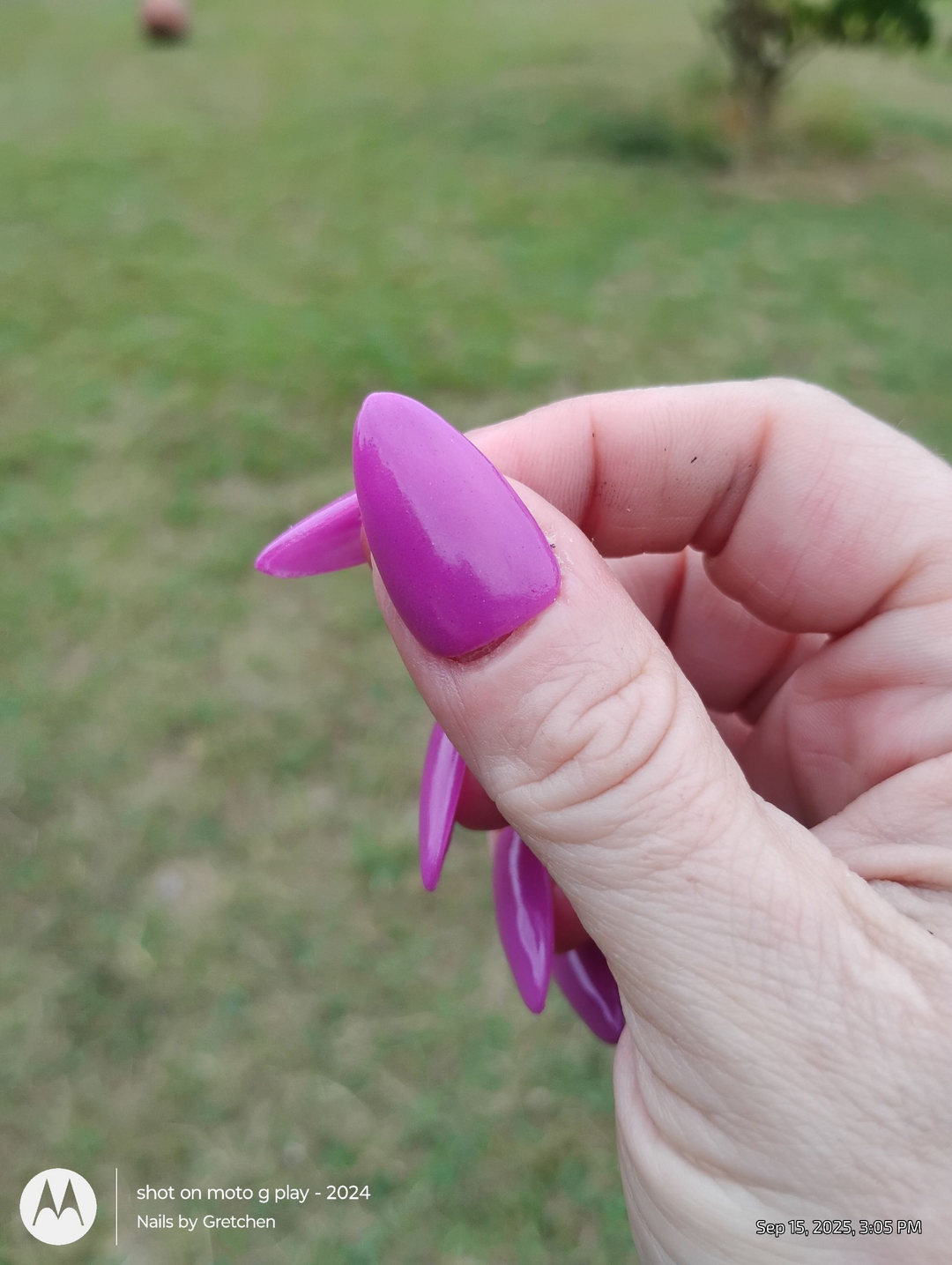 Haunted Happily Ever After