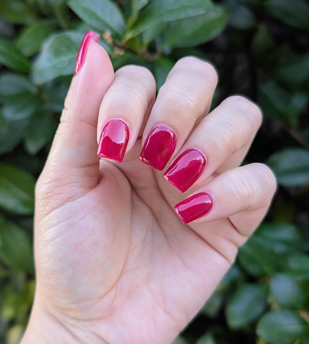 Lollipop Logic (Gummy) (Gel)