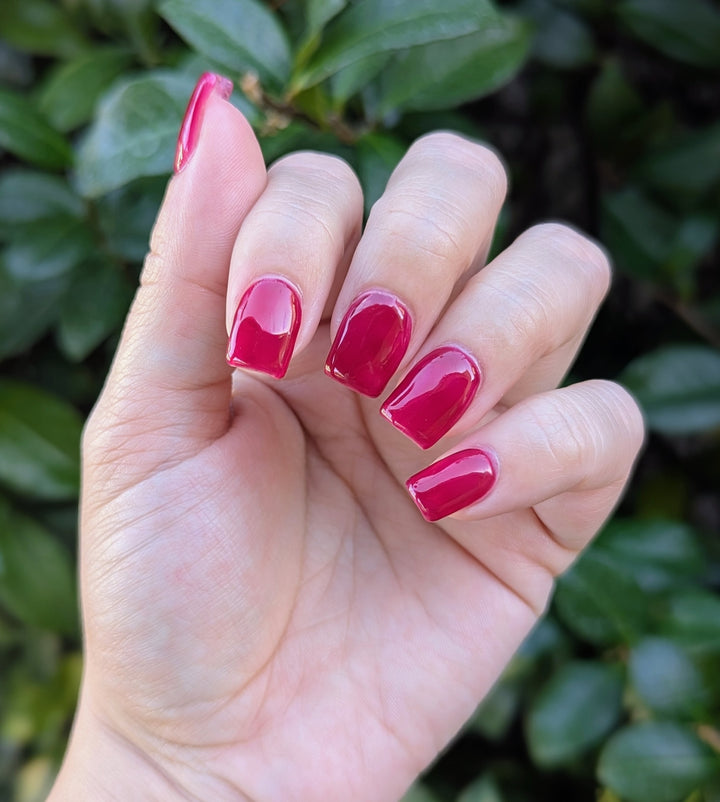 Lollipop Logic (Gummy) (Gel)