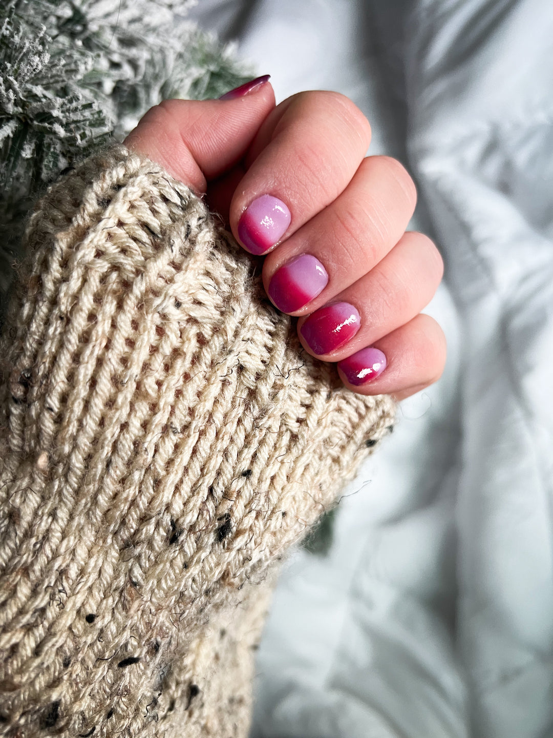 Reindeer Wishes (Temp)