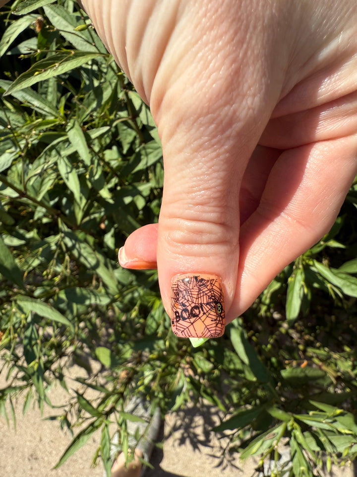 Transfer Foils Phase 3