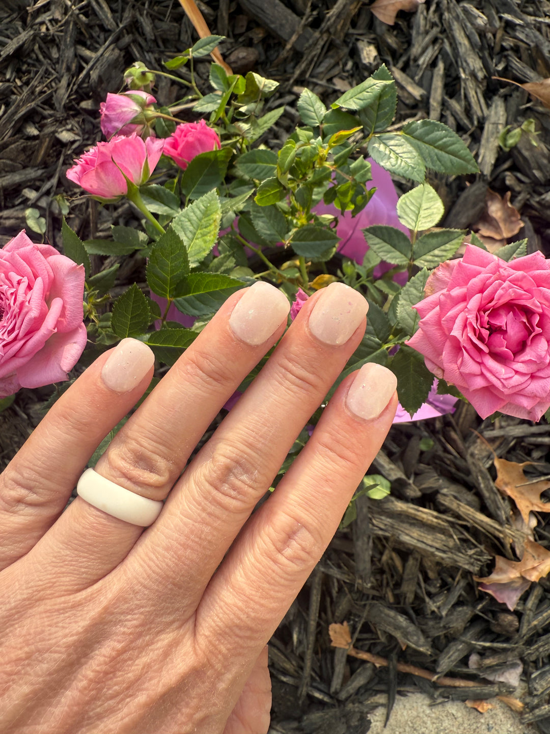 Snow Globe Dreams (Chrome)