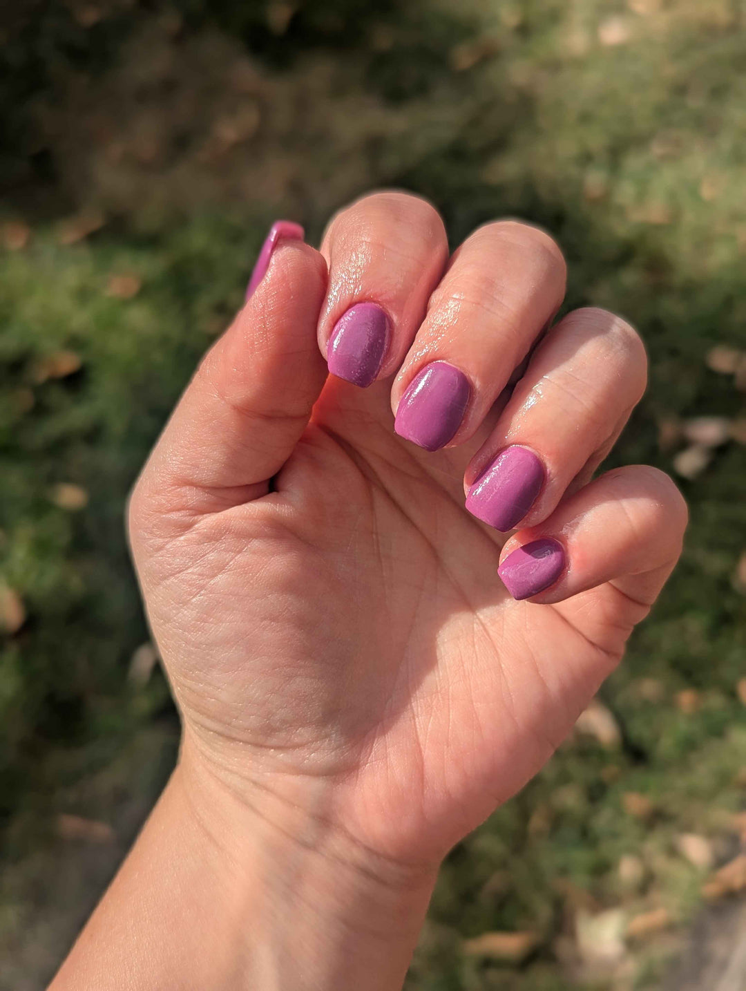 Haunted Happily Ever After