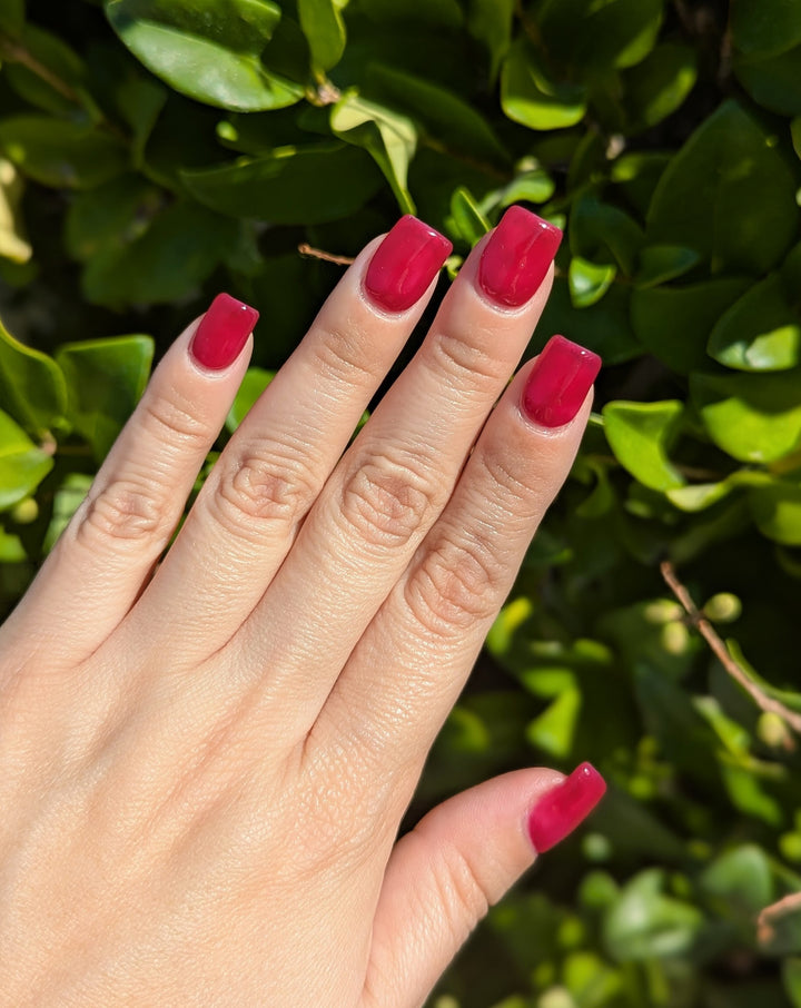 Lollipop Logic (Gummy) (Gel)