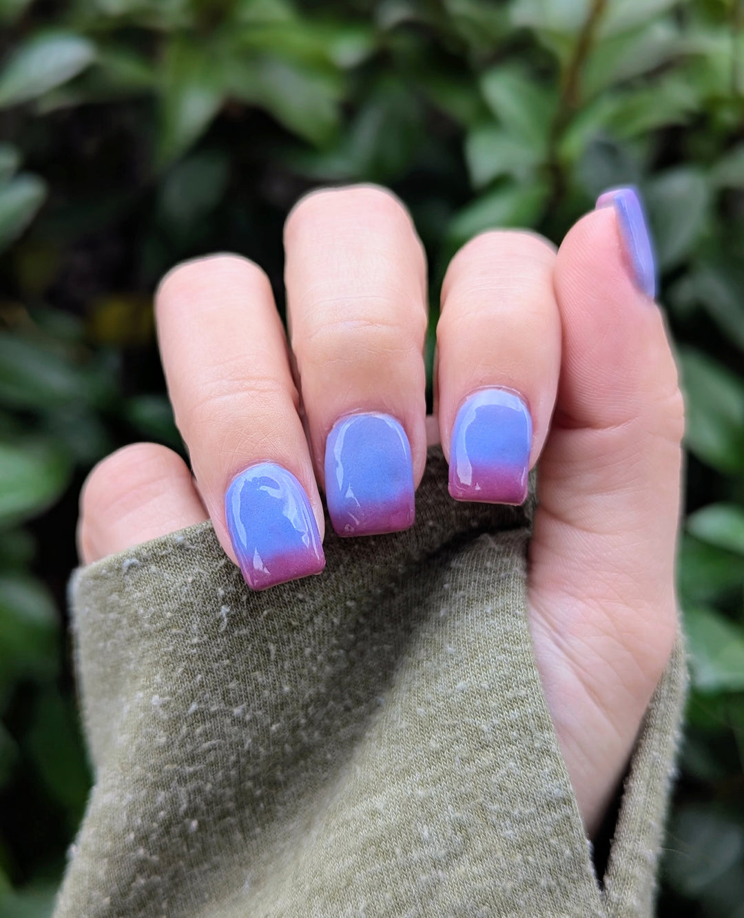 Midnight Snack (Temp)