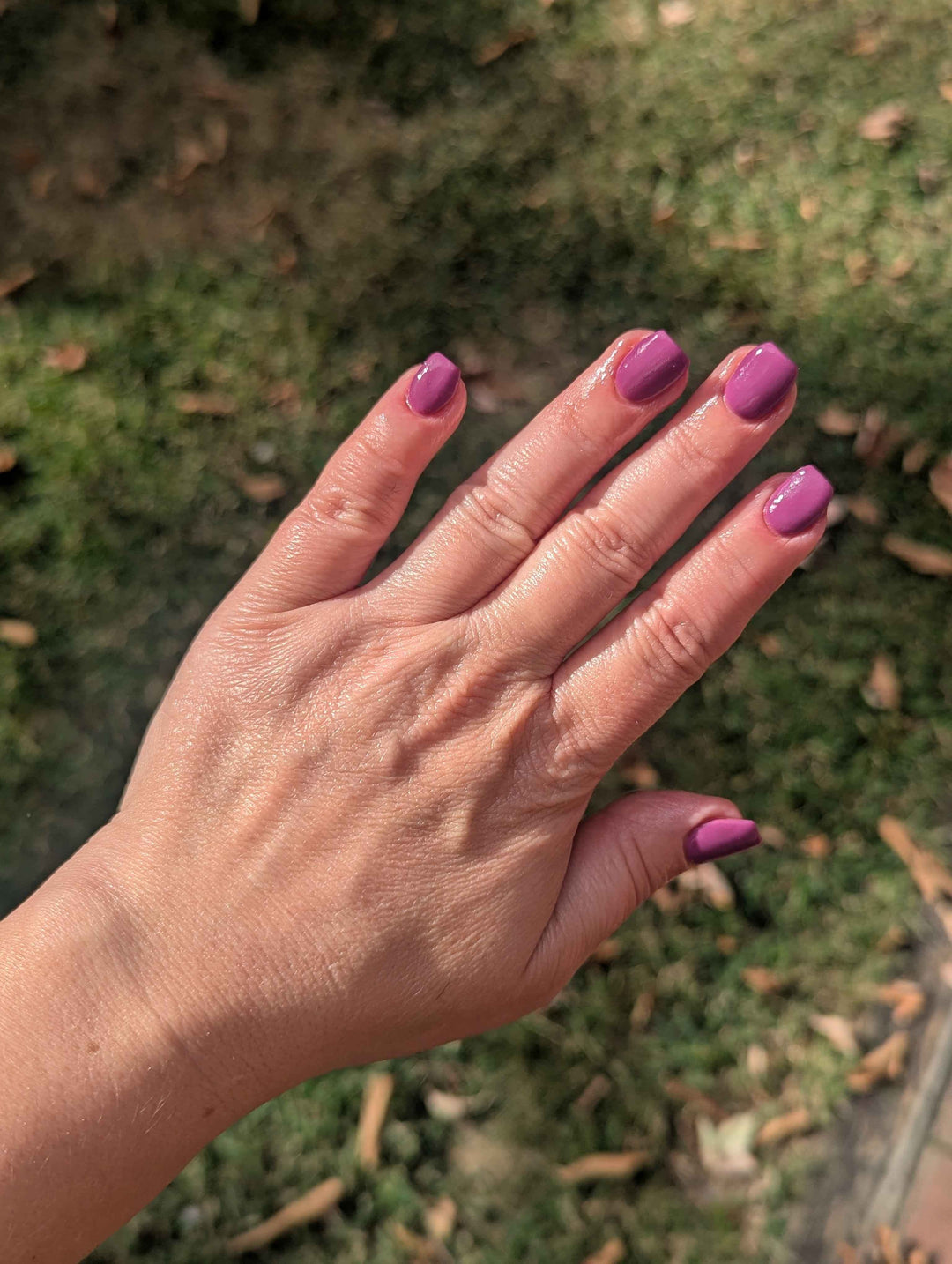 Haunted Happily Ever After