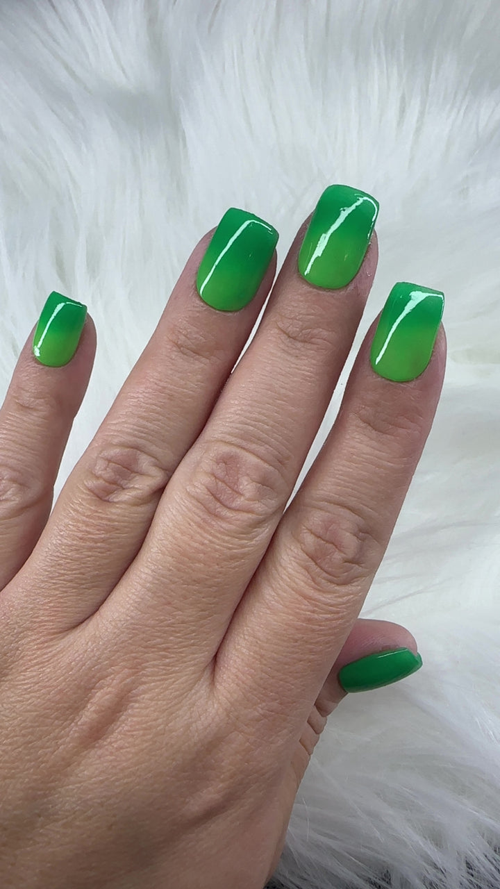 Rein-Dear Diary (Temp)