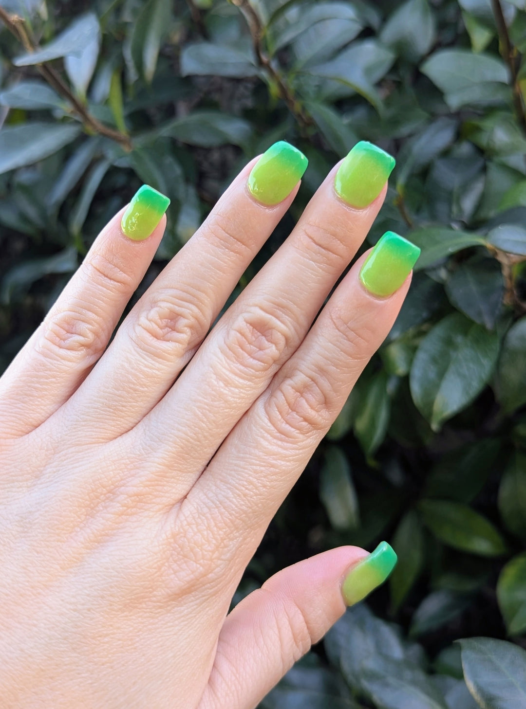 Last Call Clover (Temp, Glow)