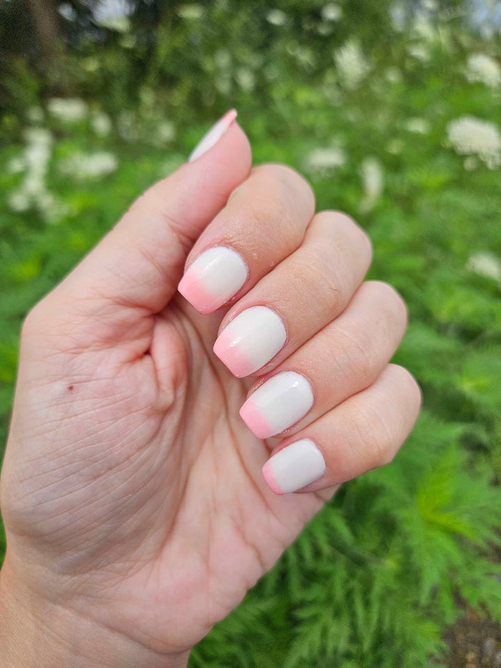 Toad-Ally Cute (Temp)