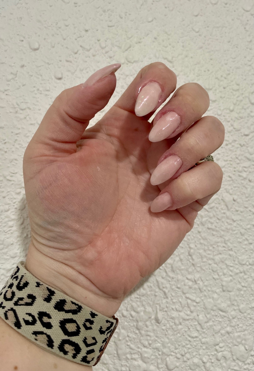 Snow Globe Dreams (Chrome)