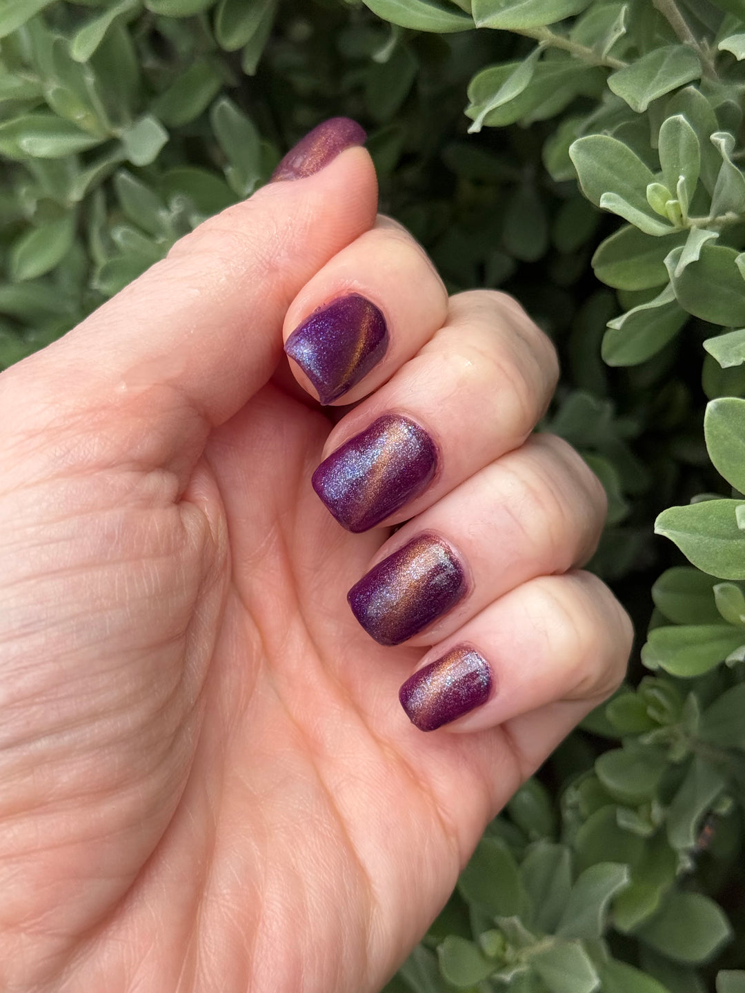 Blue Raspberry (Cat Eye Gel / Temp)