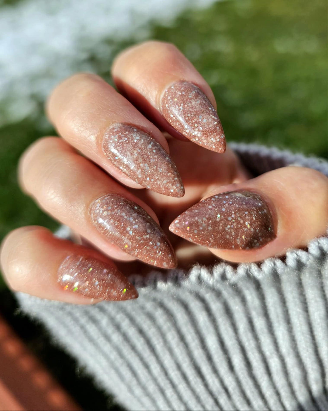 Day 12 - Blushing Rose