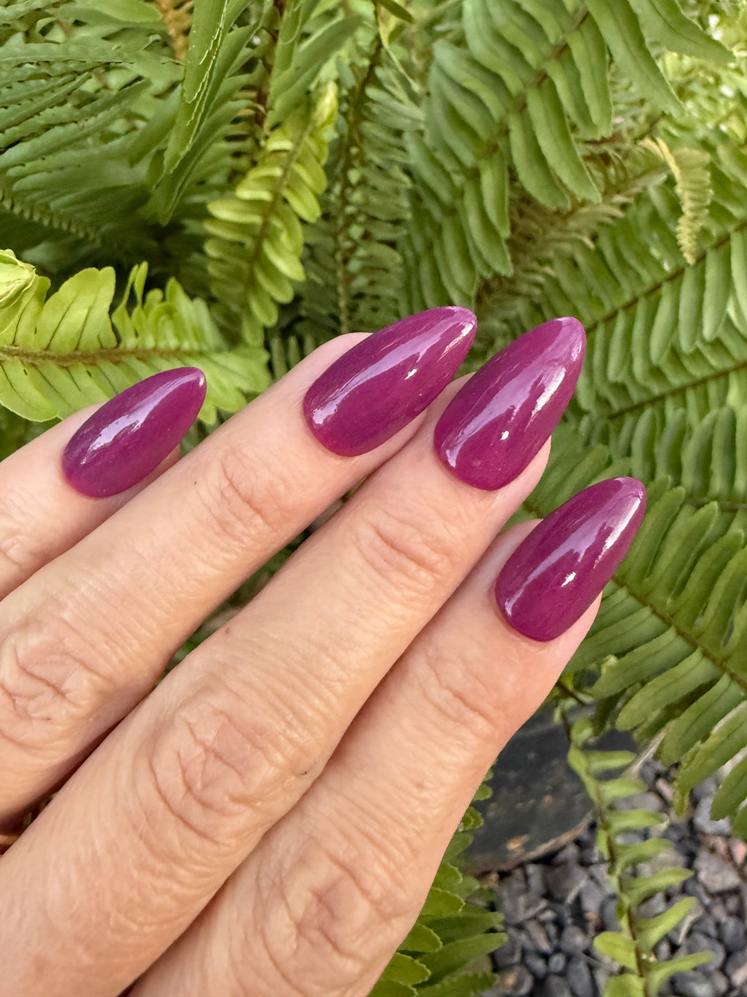 Reindeer Wishes (Temp)