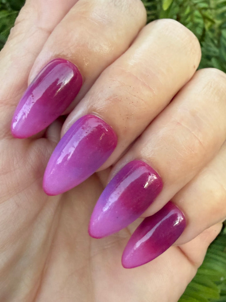 Reindeer Wishes (Temp)