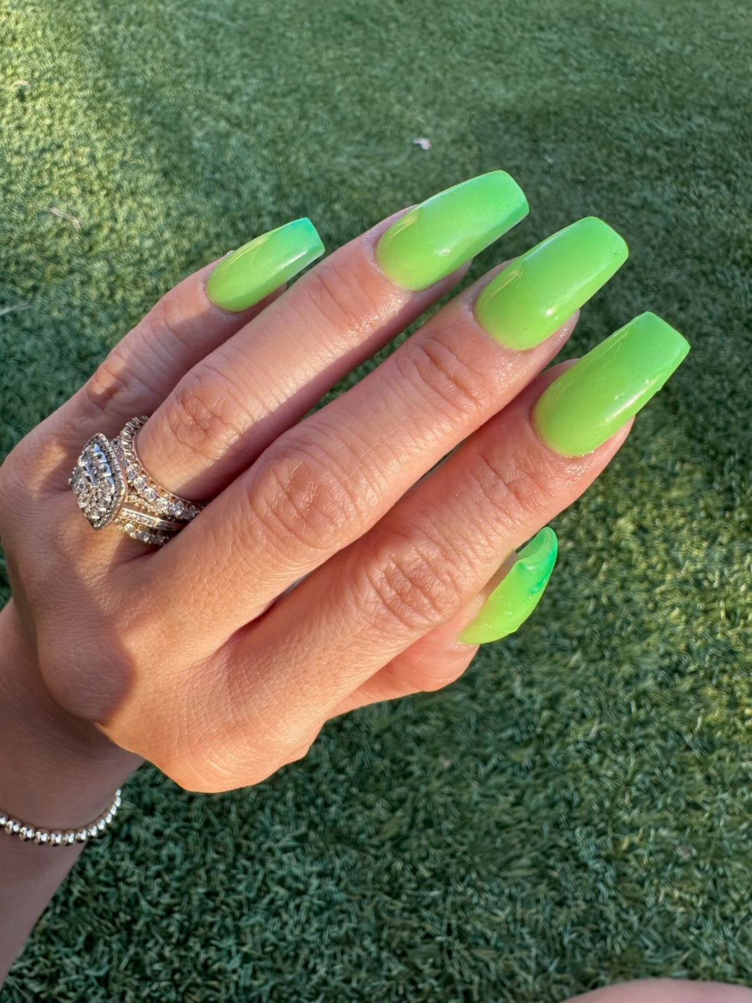 Rein-Dear Diary (Temp)