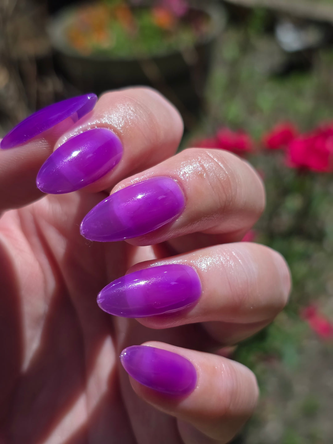 Violet Reef (Gel)