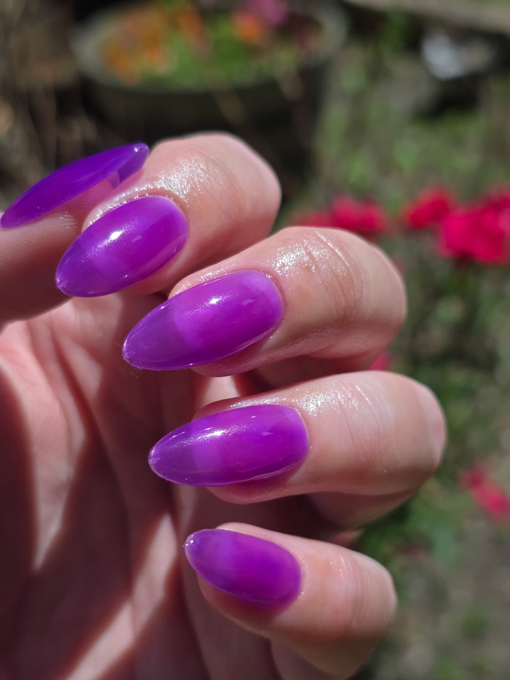 Violet Reef (Gel)