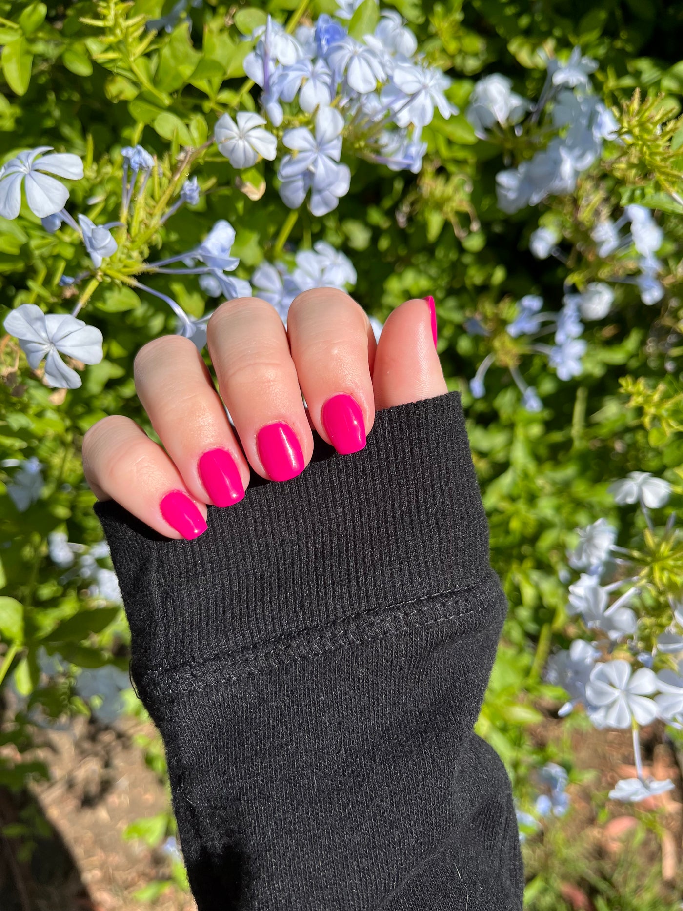 BERRY CUTE (GEL)