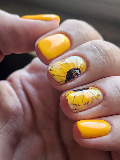 HAPPY HAYRIDE (GEL)