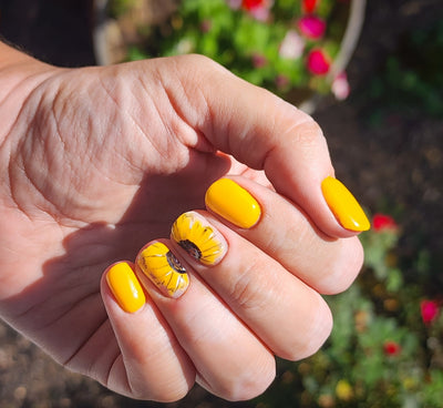 HAPPY HAYRIDE (GEL)