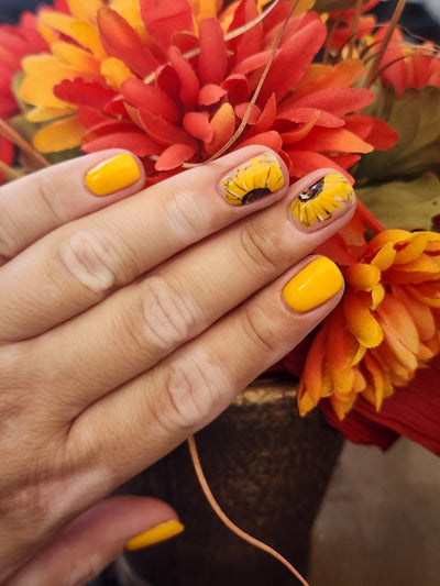 HAPPY HAYRIDE (GEL)