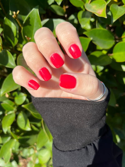 SHIRLEY TEMPLE (GEL)