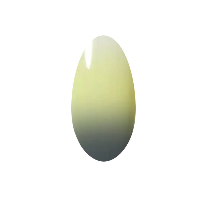 Day 8 - Shiver Me Timber