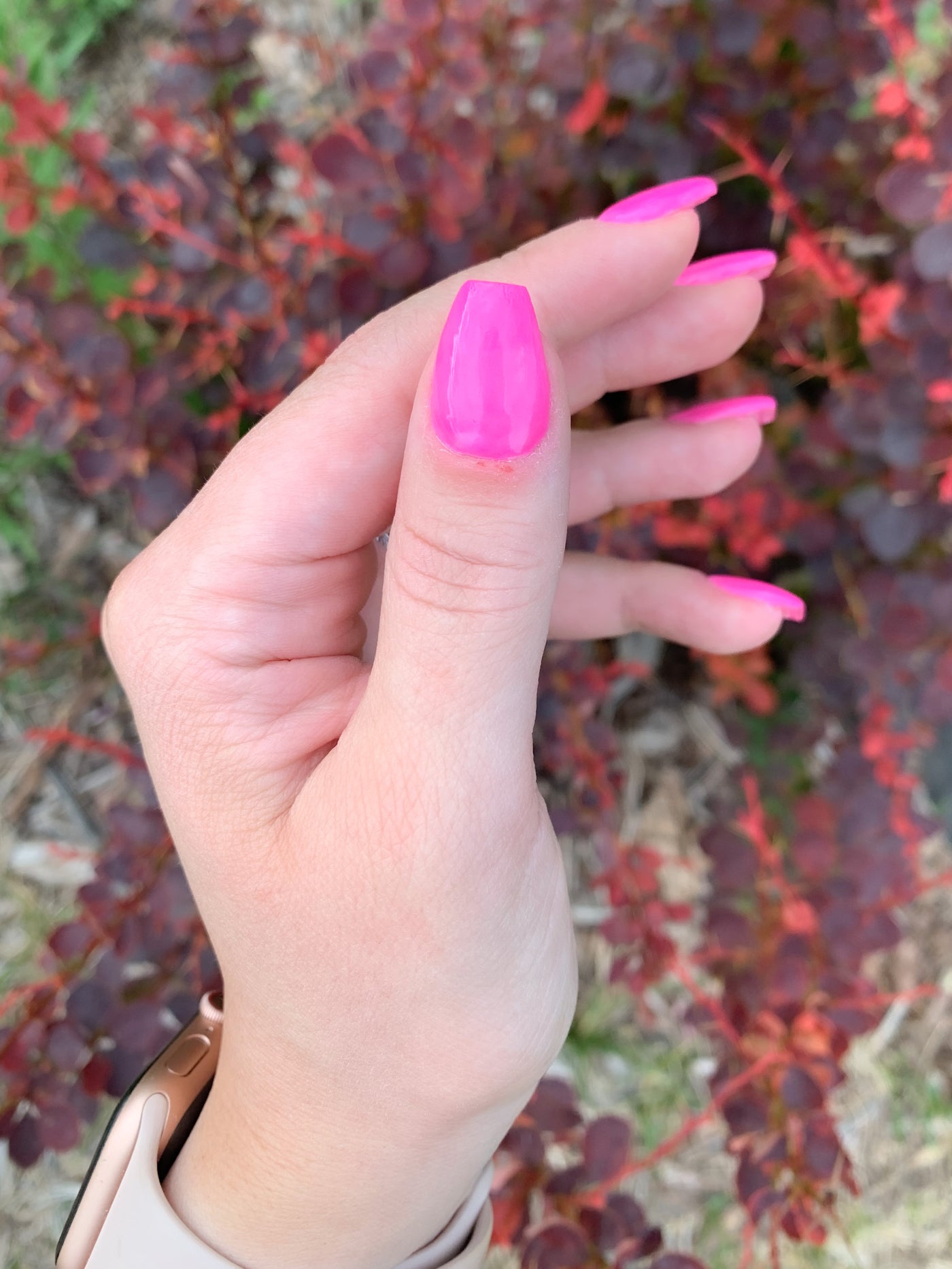 MALIBU