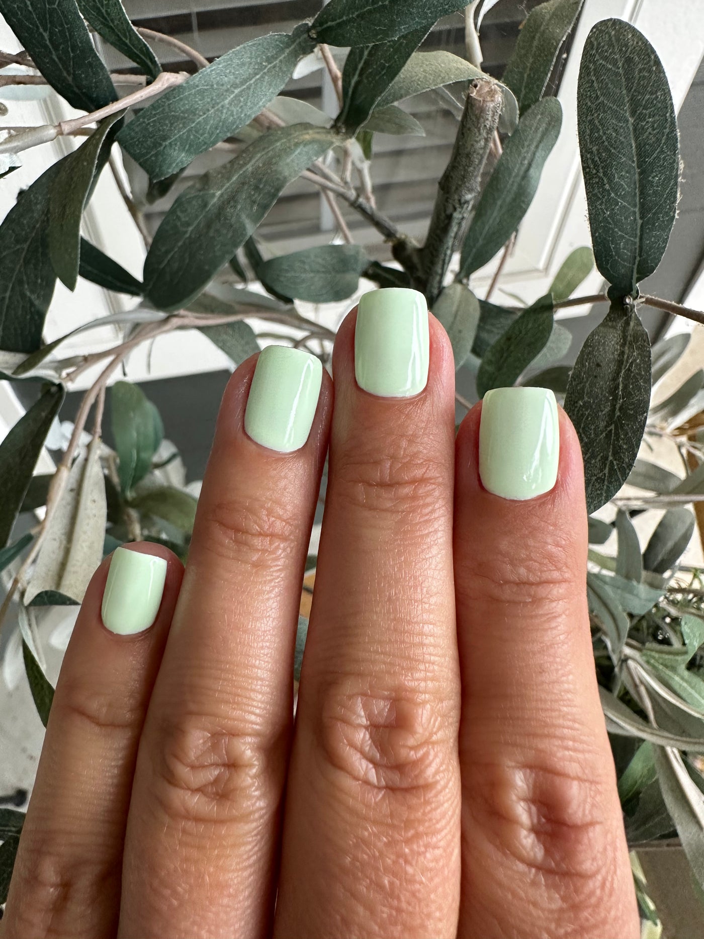 GREEN THUMB (GEL)