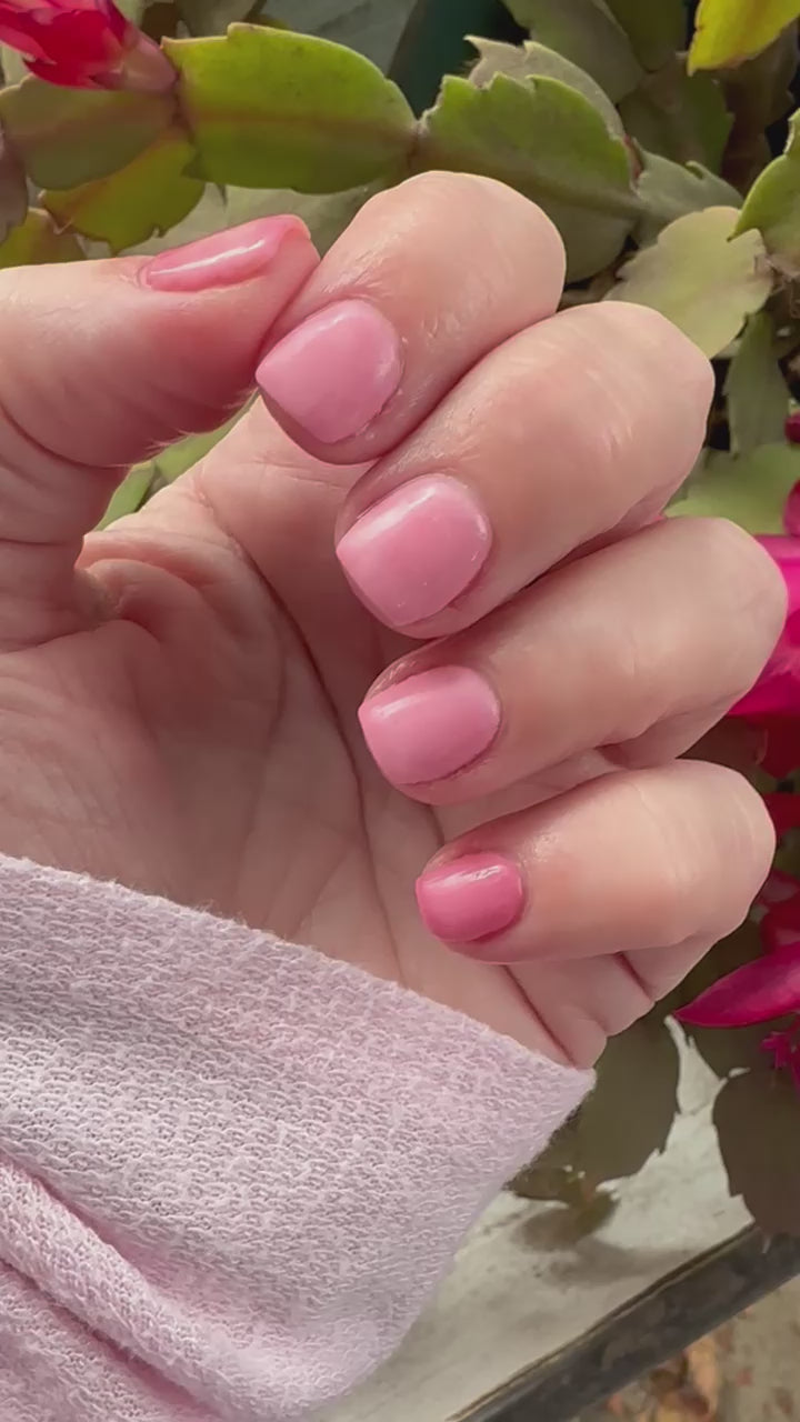 Signed, Sealed, Delivered (Temp)