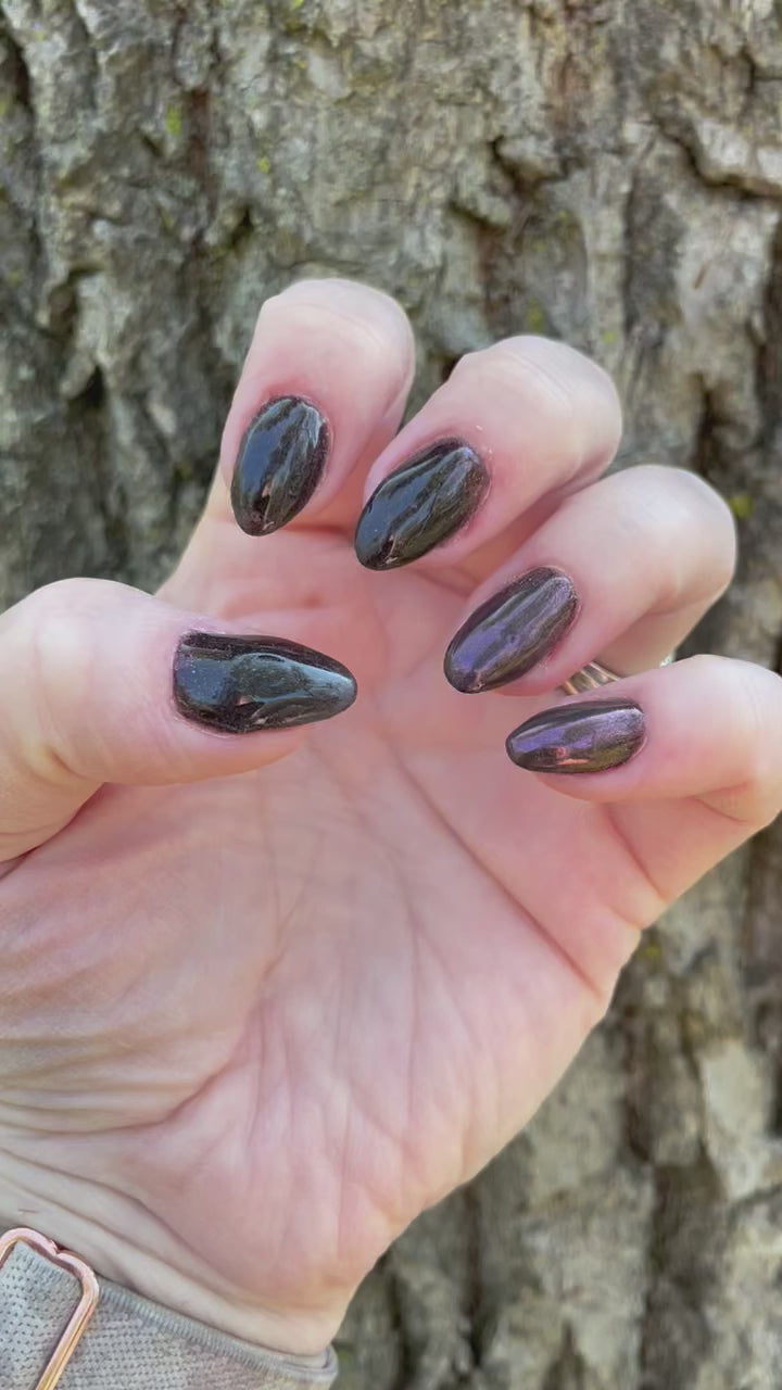 Adders Fork (Chrome)