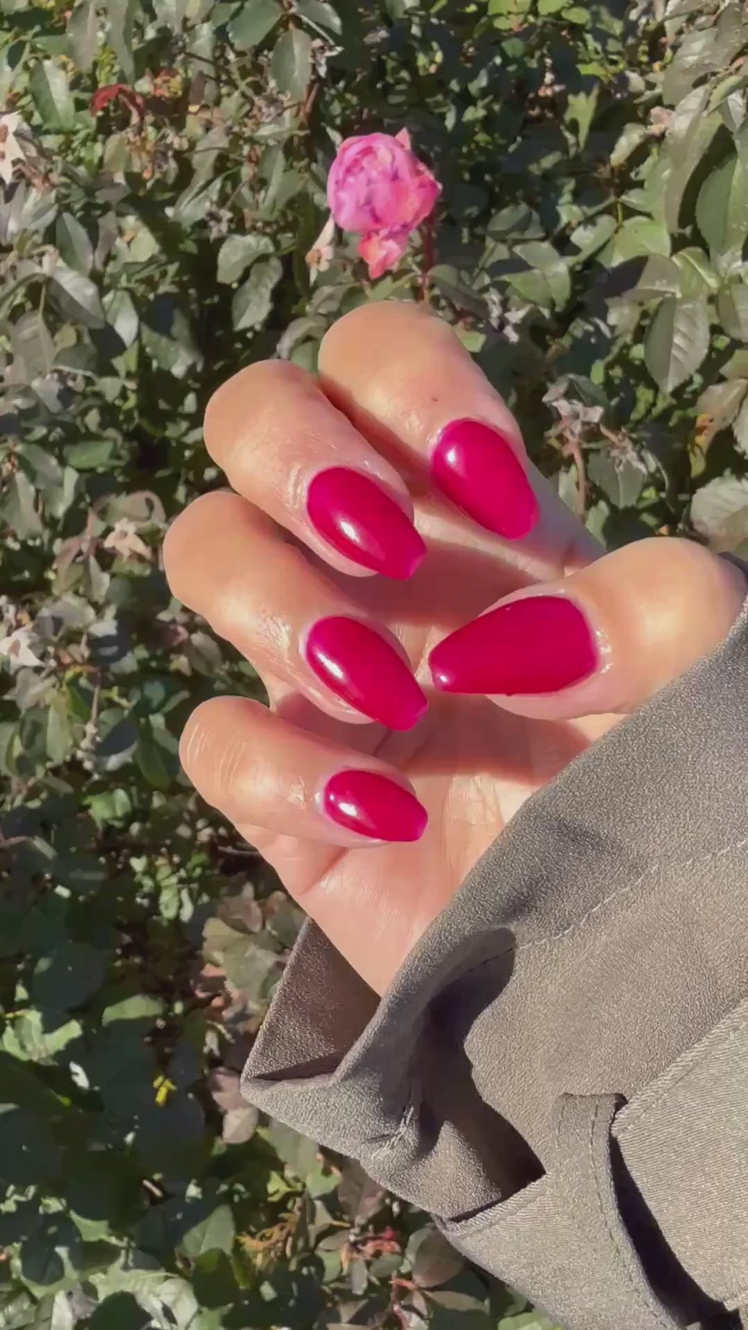 Lollipop Logic (Gummy) (Gel)