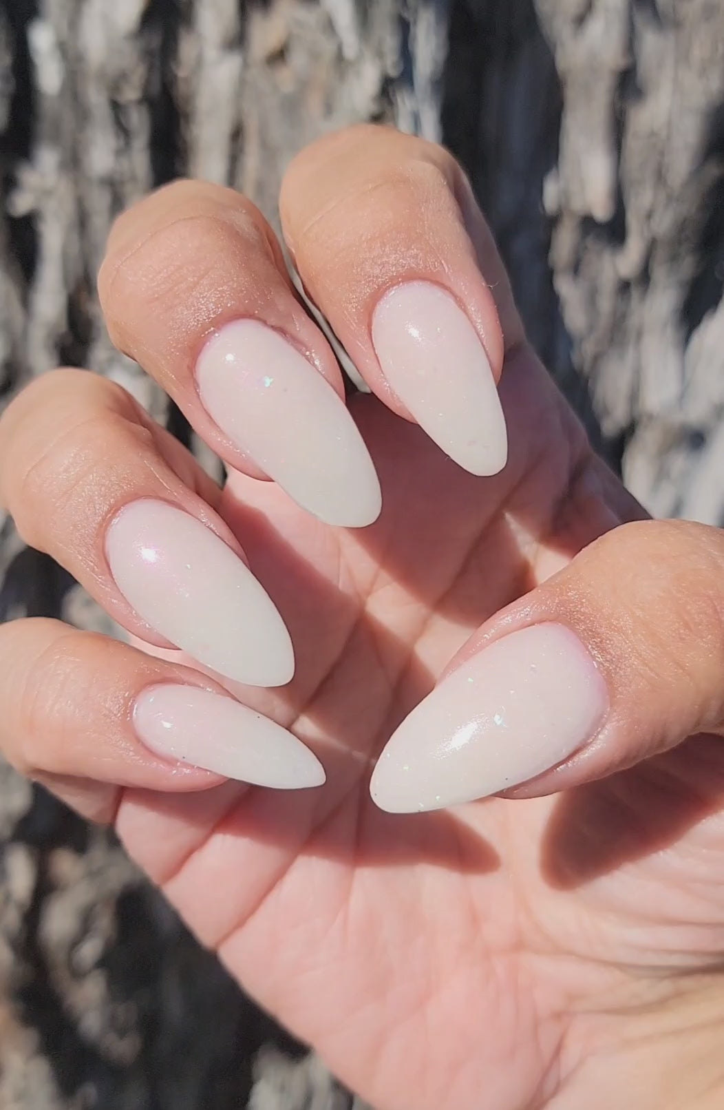 Snow Globe Dreams (Chrome)