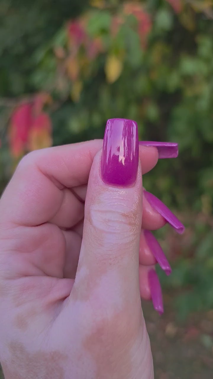 Haunted Happily Ever After