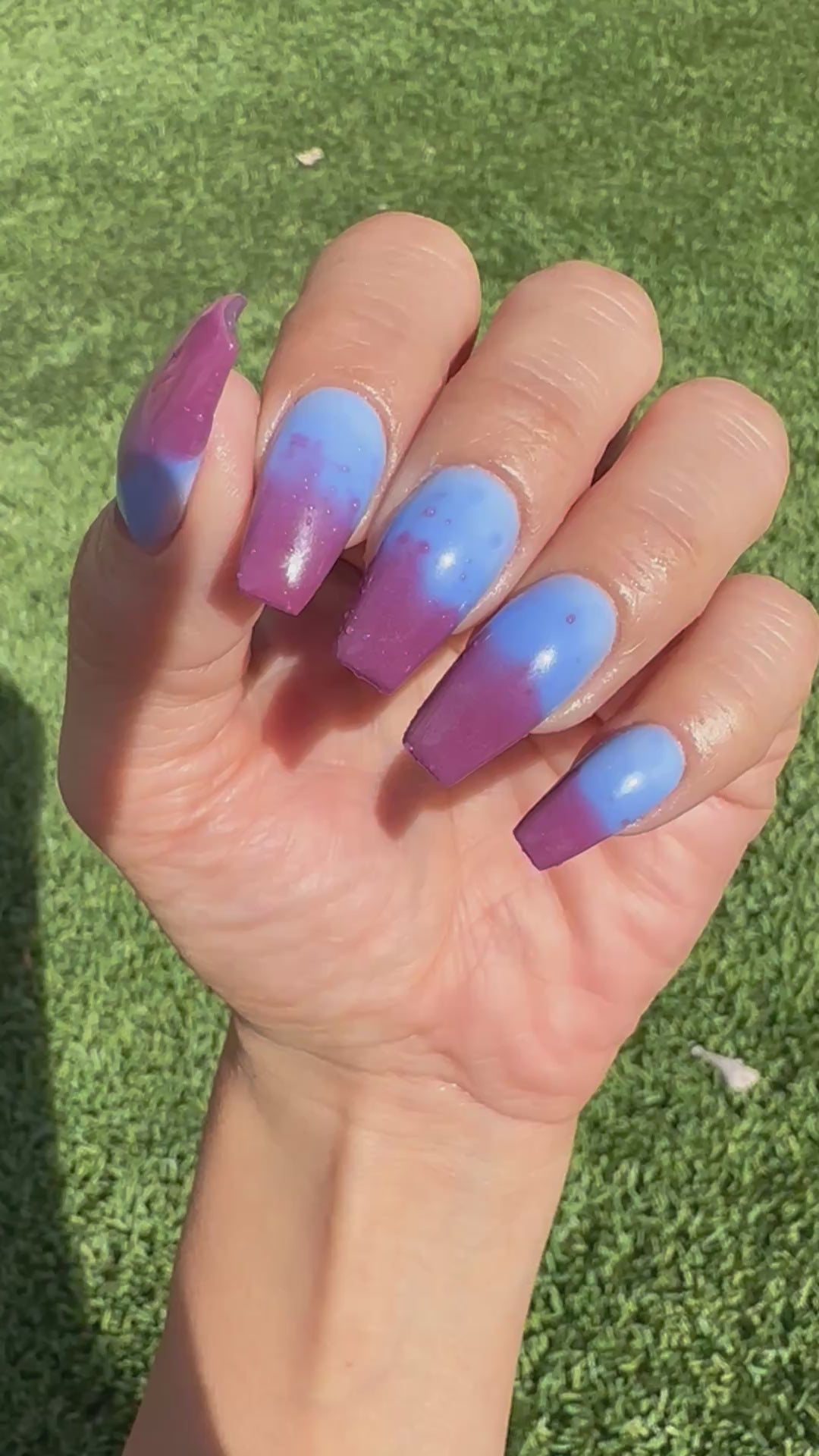 Midnight Snack (Temp)