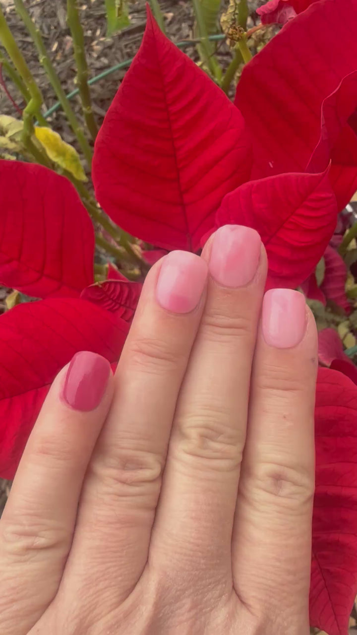 Signed, Sealed, Delivered (Temp)