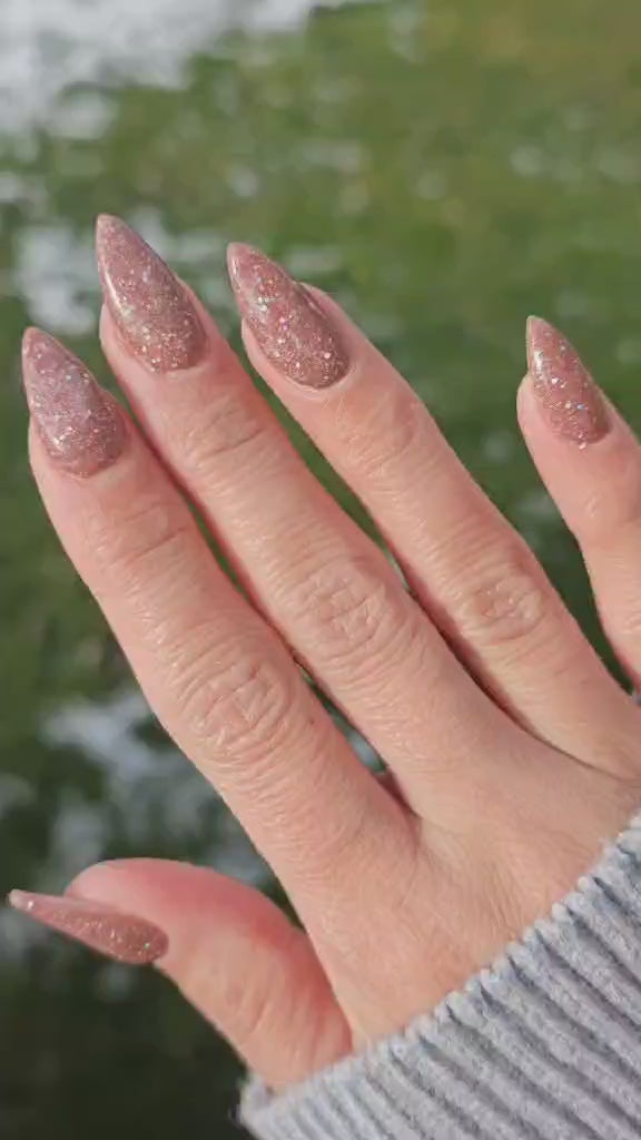 Day 12 - Blushing Rose