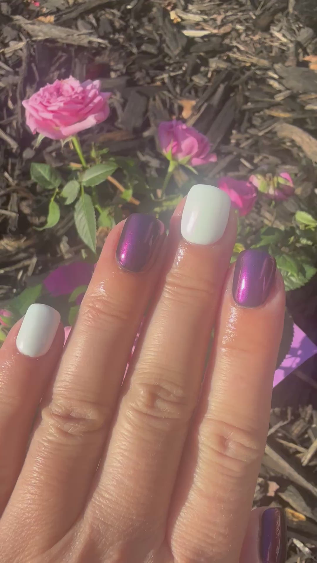 Snow Globe Dreams (Chrome)