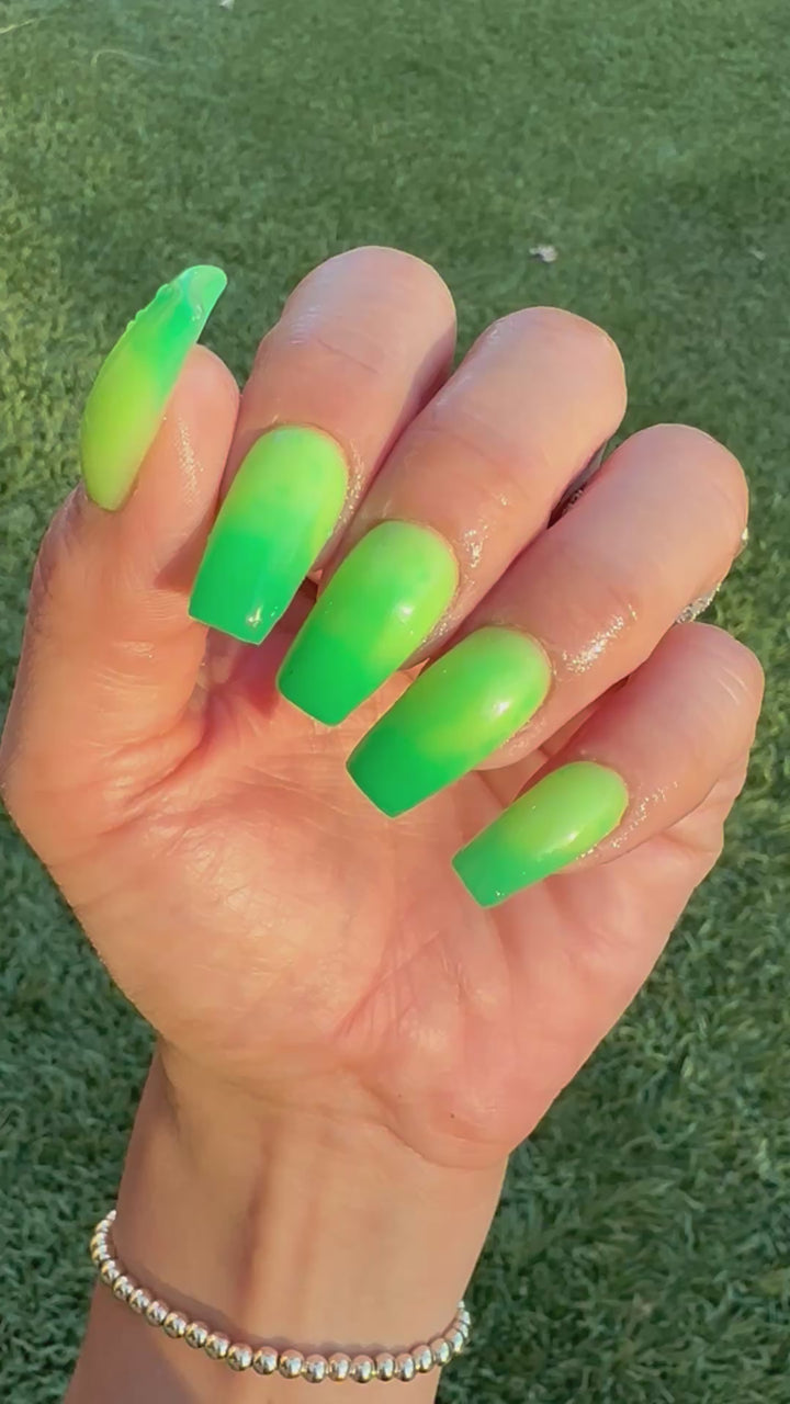 Rein-Dear Diary (Temp)