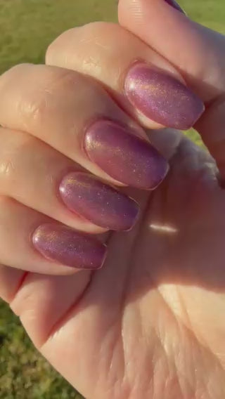 Untamed Aura (Magnetic) (Gel)