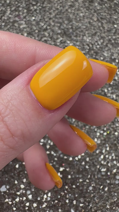 HAPPY HAYRIDE (GEL)