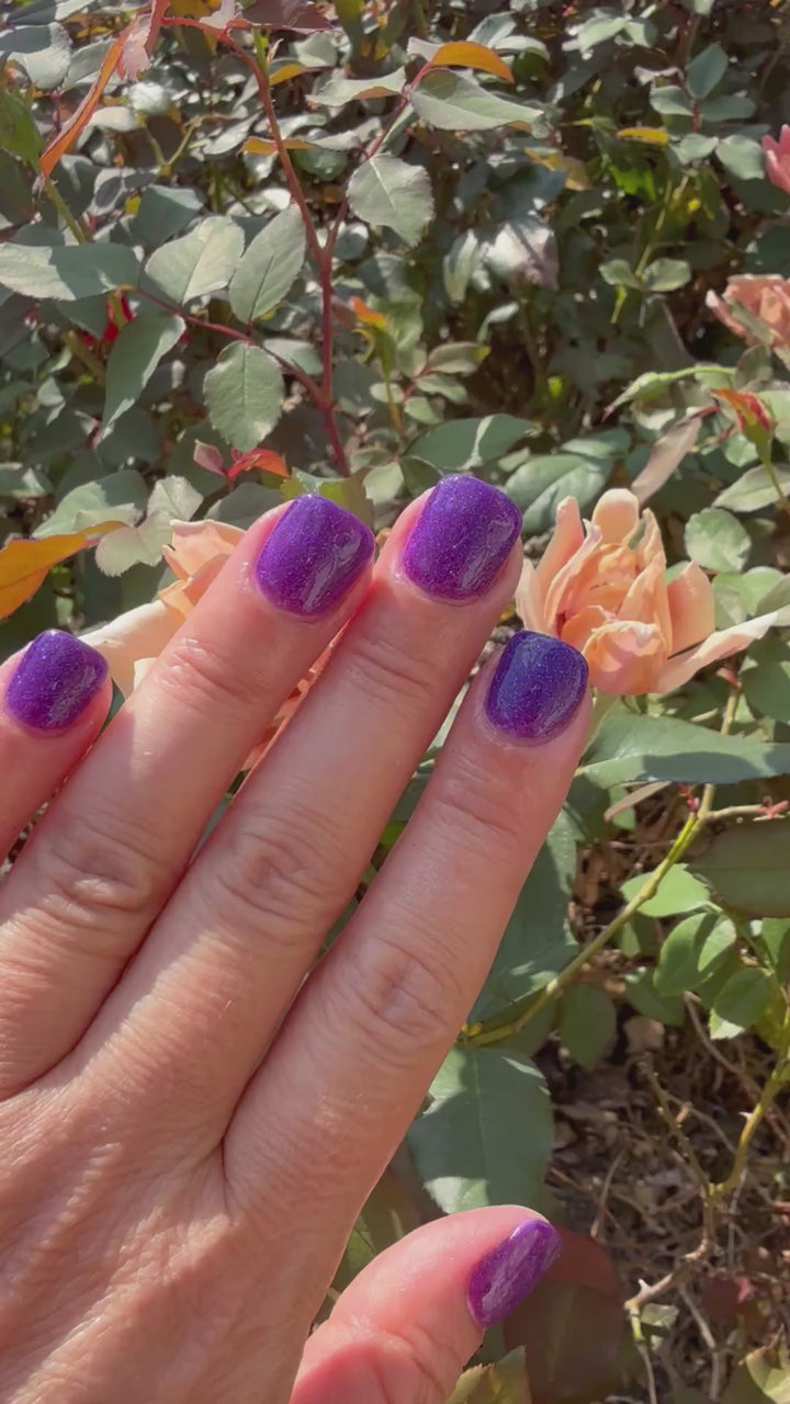 Enchanted Chill (Temp)